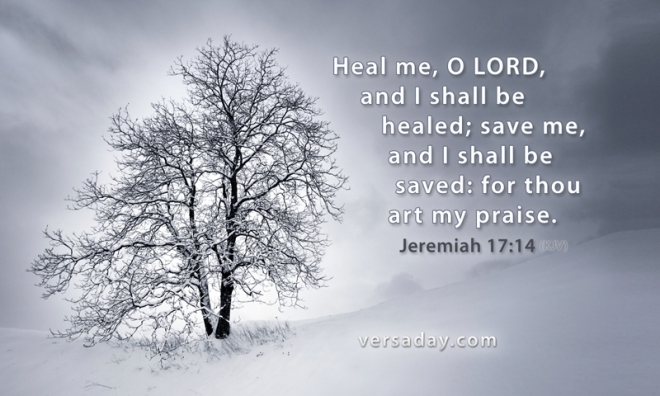 Heal Save Jer 17 14